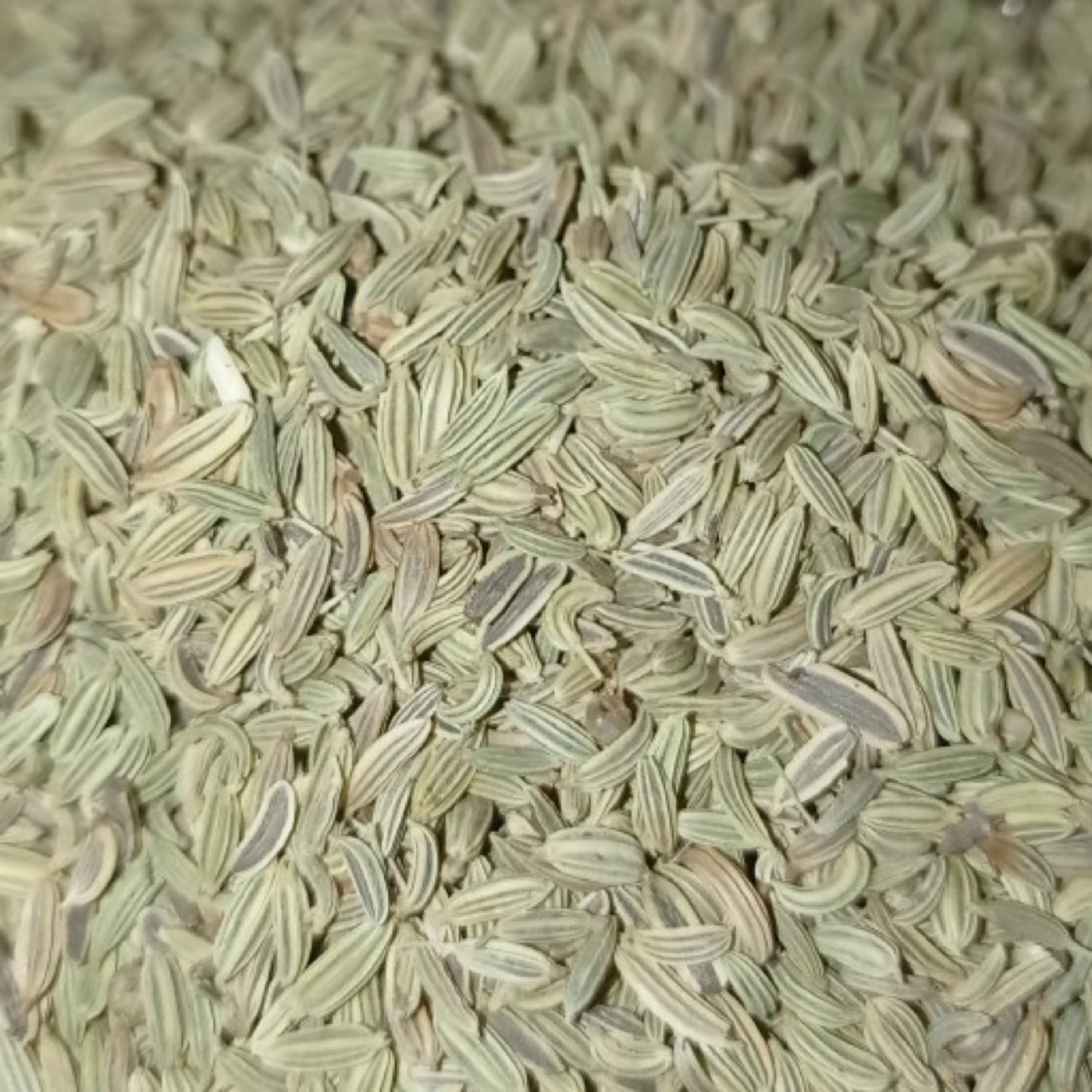 رازیانه (بادیان) سورت شده صادراتی 100 گرم