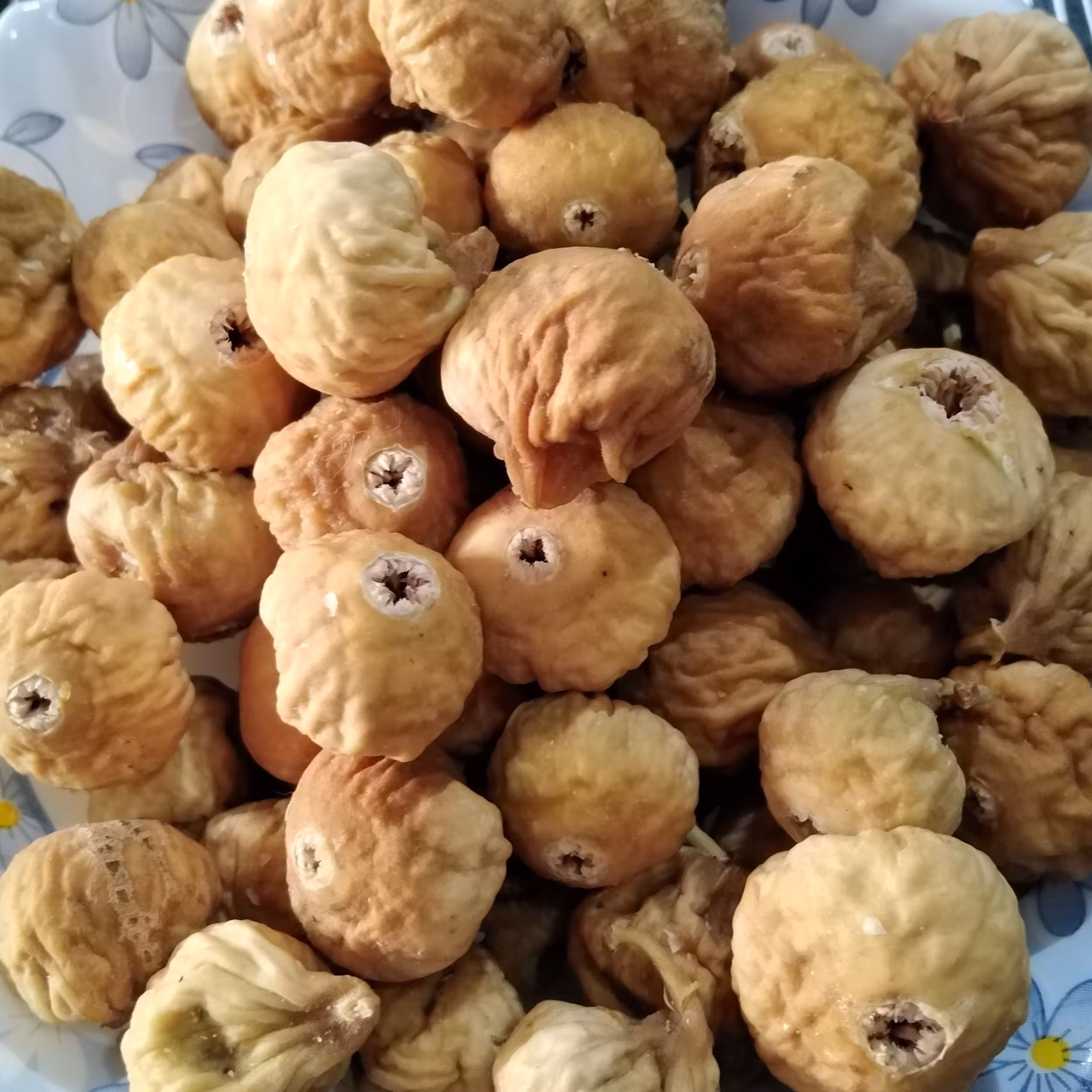 انجیر گوشتی استهبان سایز بزرگ 500 گرم(محصول امسال) 