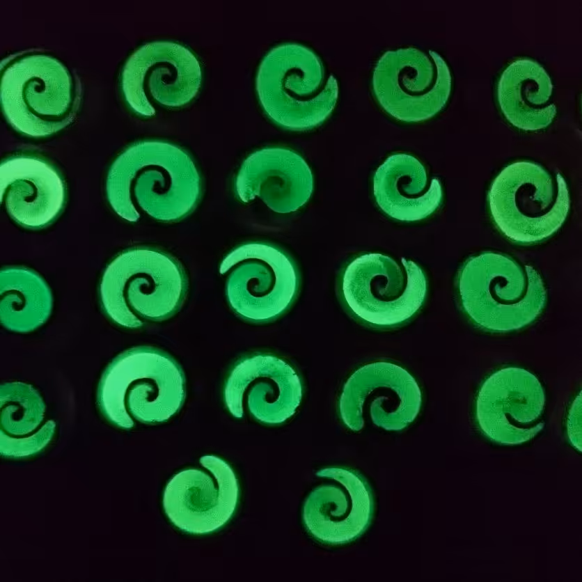 صدف شبنما پک 4عددی