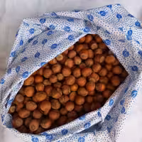 دوکیلو فندق خام و ارگانیک  اشکور گیلان همراه با کیسه پارچه ای مناسب