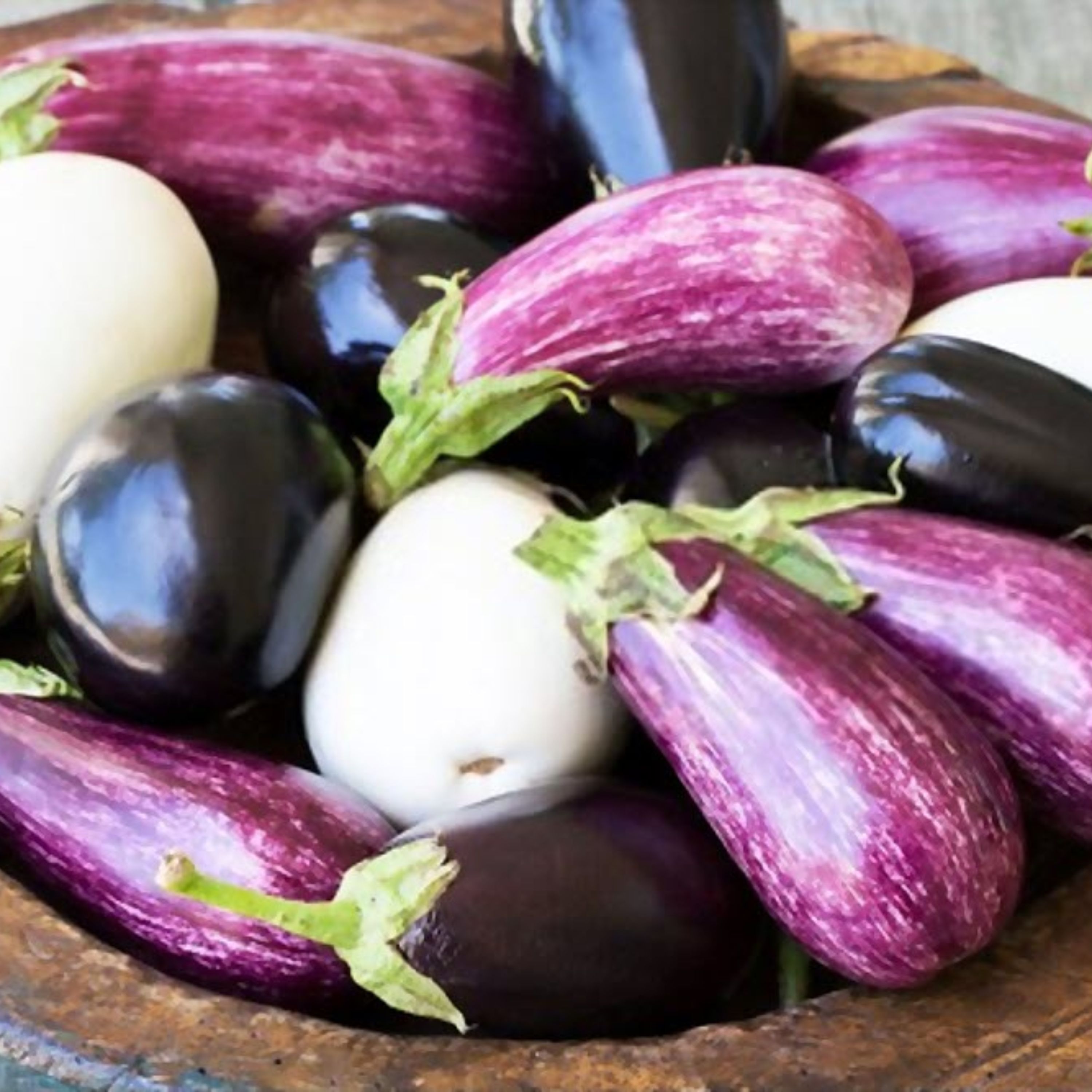 بذر بادمجان میکس