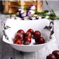 میوه خوری فیوچر 