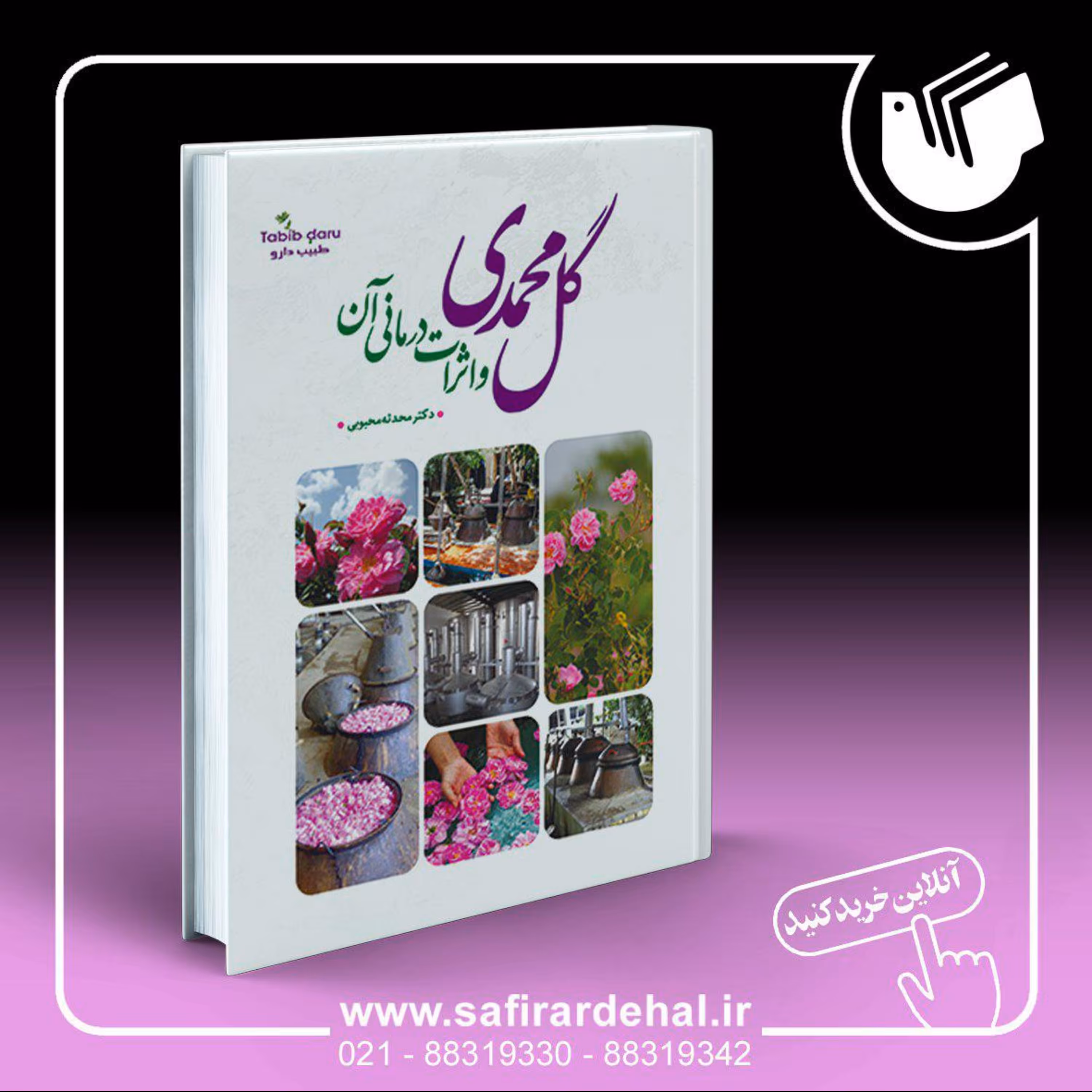 گل محمدی و اثرات درمانی آن