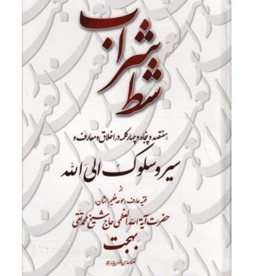 شط شراب دستورالعمل های اخلاقی آیه الله بهجت