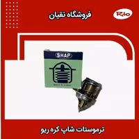 ترموستات ریو شاپ کره ای 