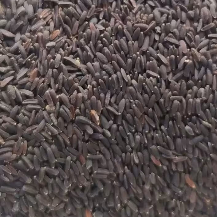 گیاه بالنگو 100 گرم