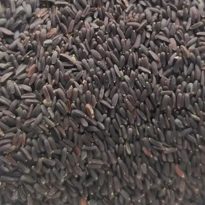 گیاه بالنگو 100 گرم
