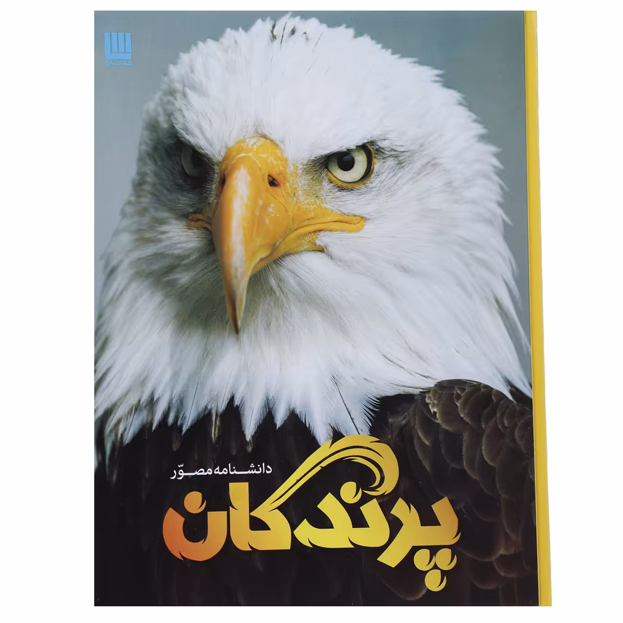 کتاب دانشنامه مصور پرندگان اثر دیوید برنی