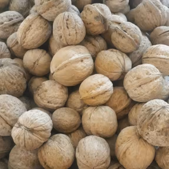 خشکبارنازگل
گردوی درجه یک وعالی (1000)گرمی