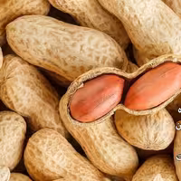 بادام زمینی شور  غلافدار آستانه