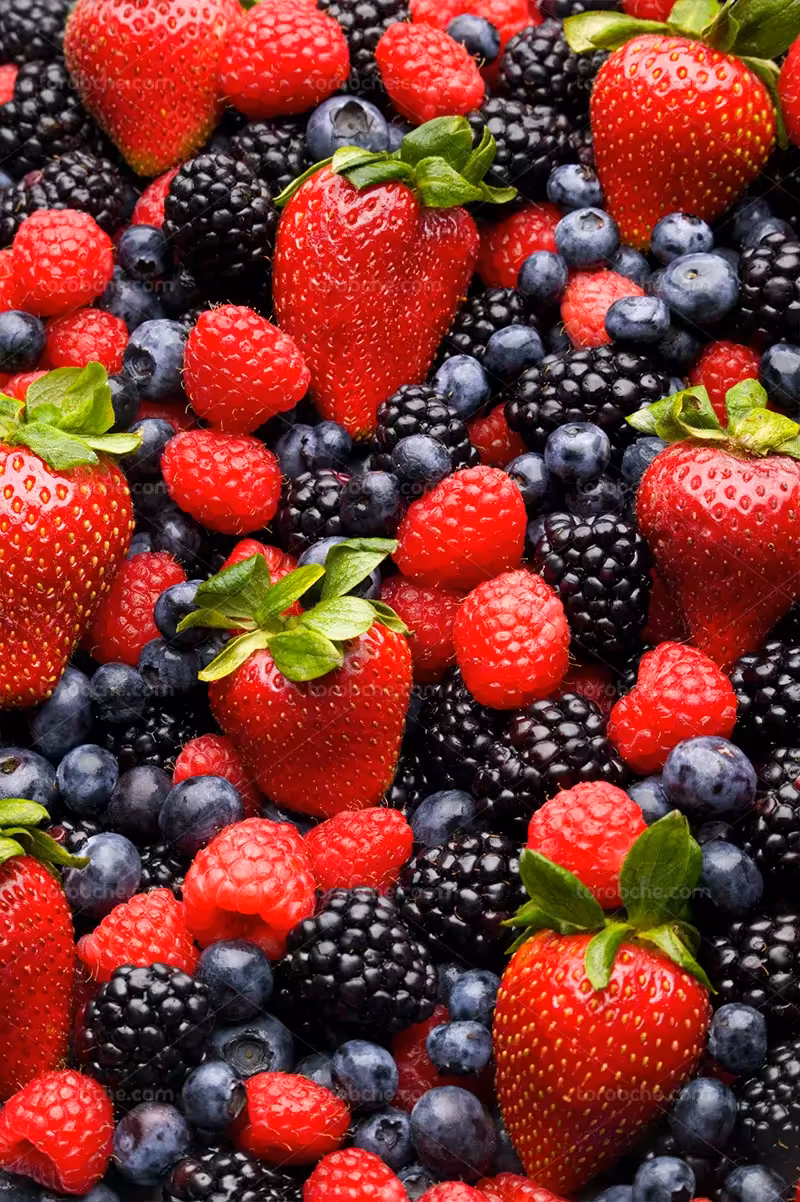 عکس میوه های تابستانه تازه | گرافیک با طعم تربچه