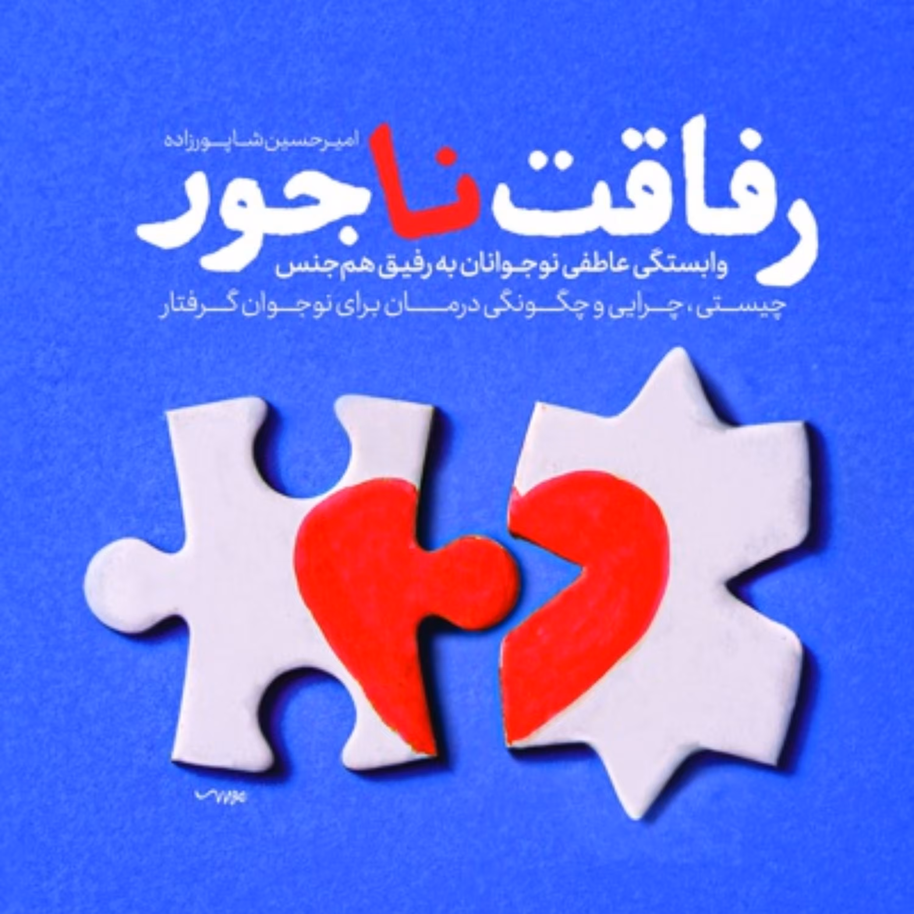 رفاقت ناجور-امیر حسین شاپور زاده