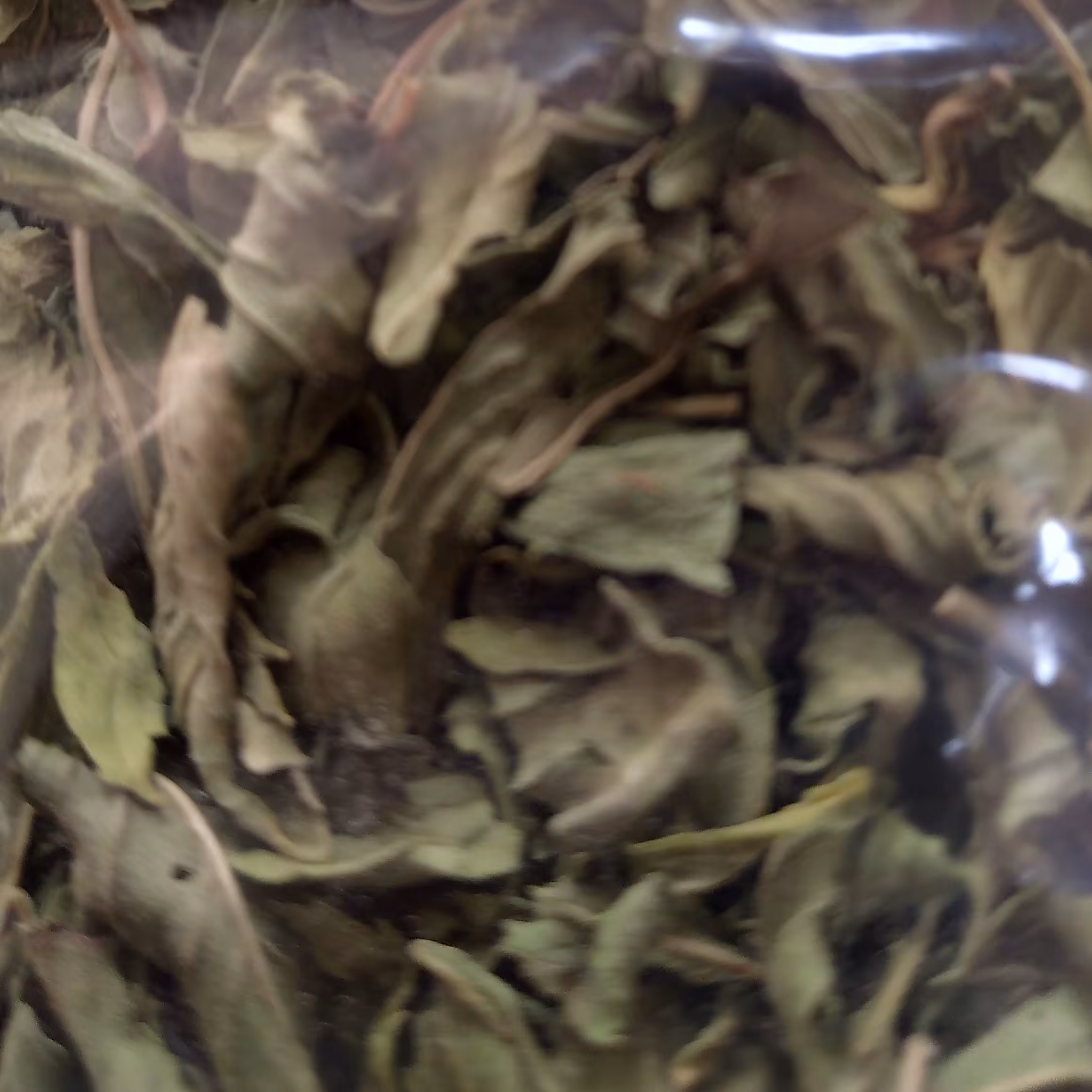 نعنا خشک اعلا، سبز و پاک شده