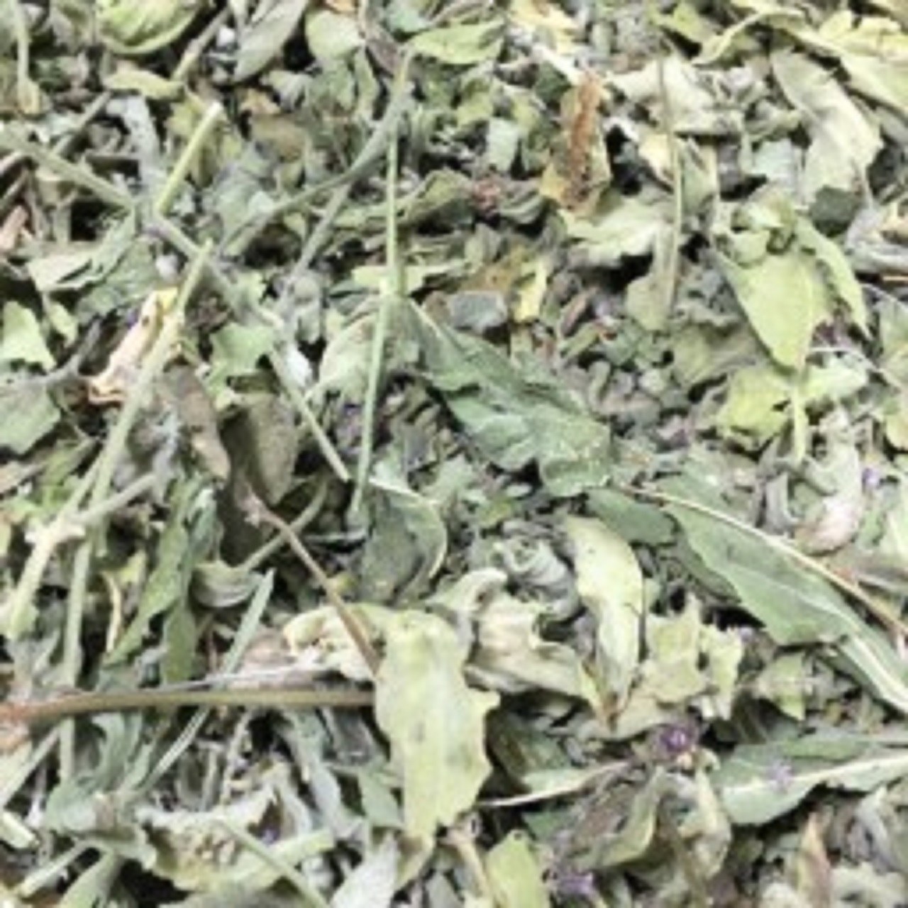 پونه کوهی اردبیل 500 گرم