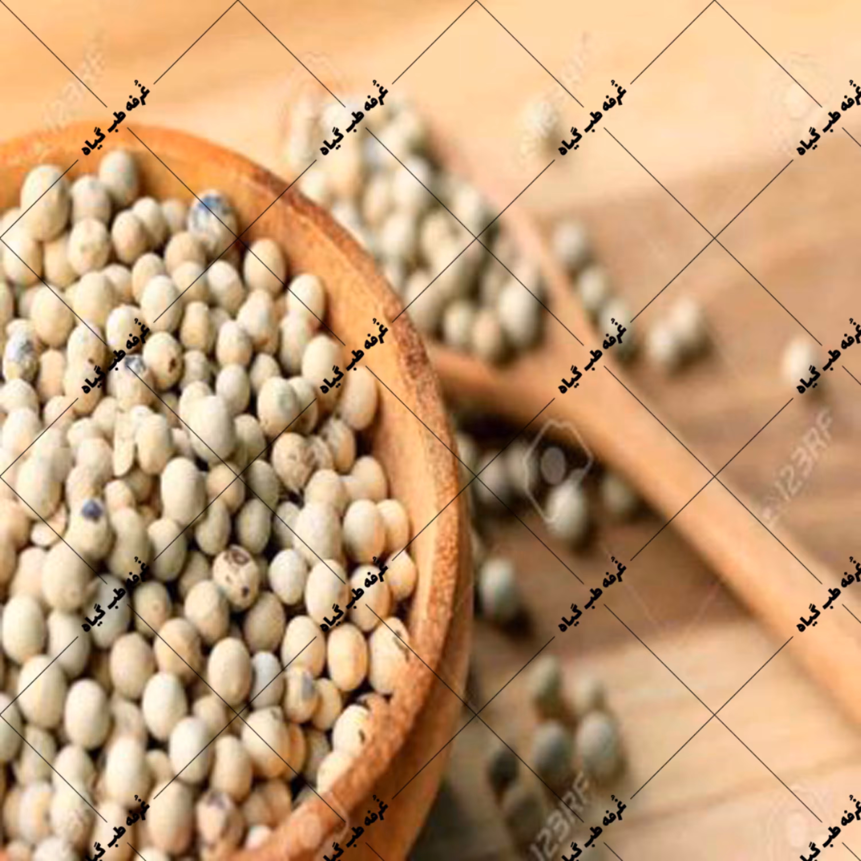 فلفل سفید دانه 100 گرمی - فلفل سفید درشت - فلفل سفید آسیاب نشده