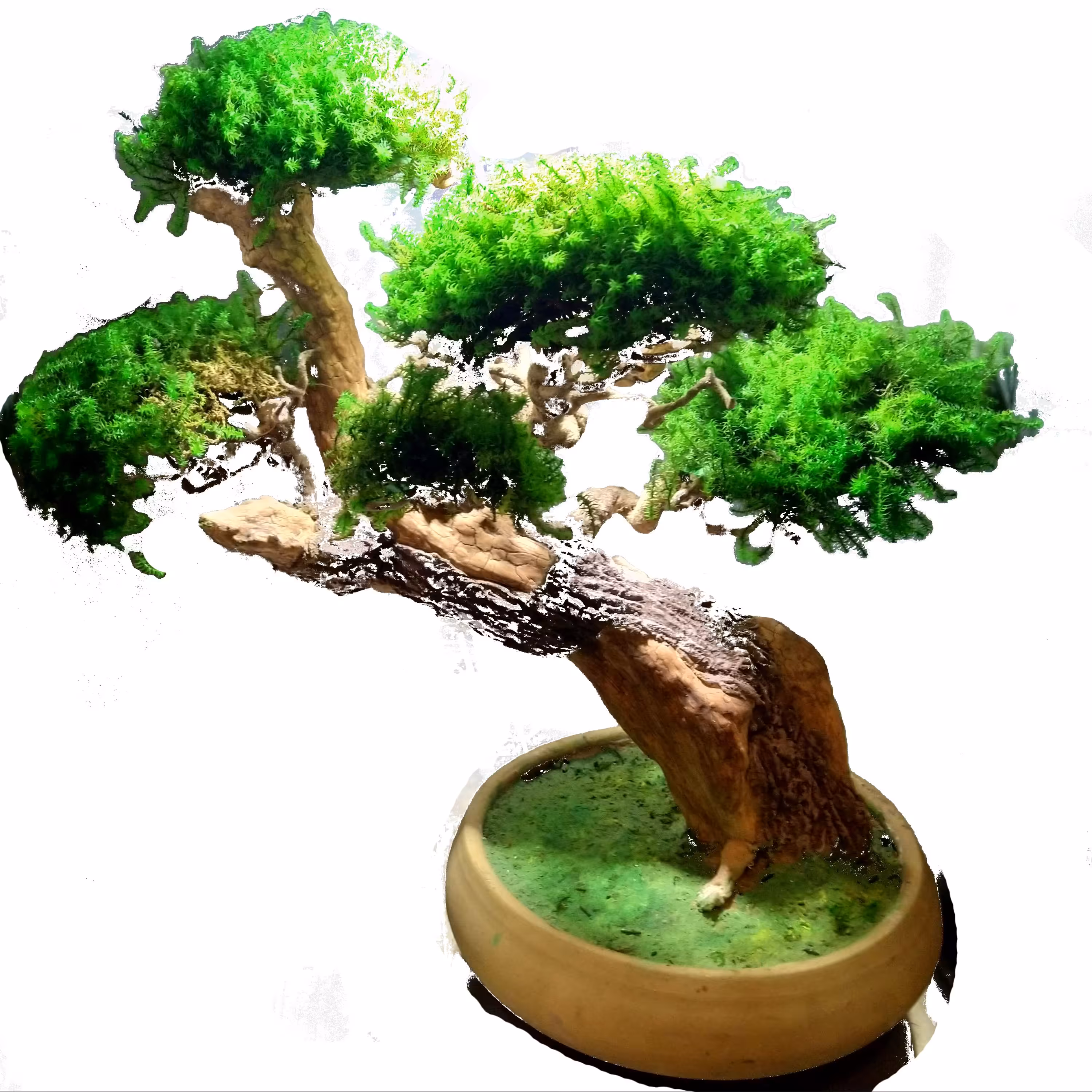 بنسای نیمه  مصنوعی مدل اریب