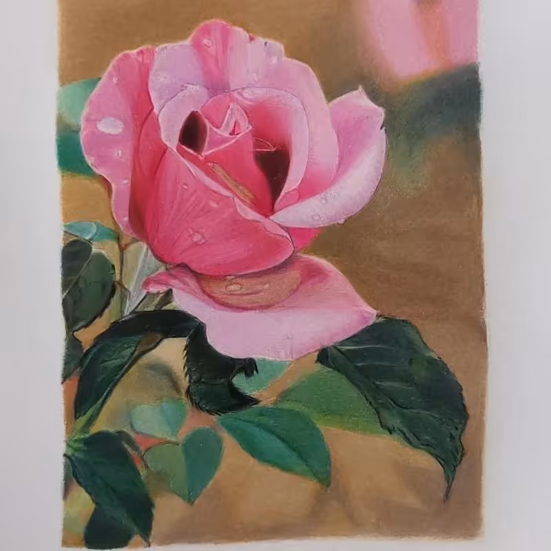 نقاشی از گل رز با تکنیک مداد رنگی