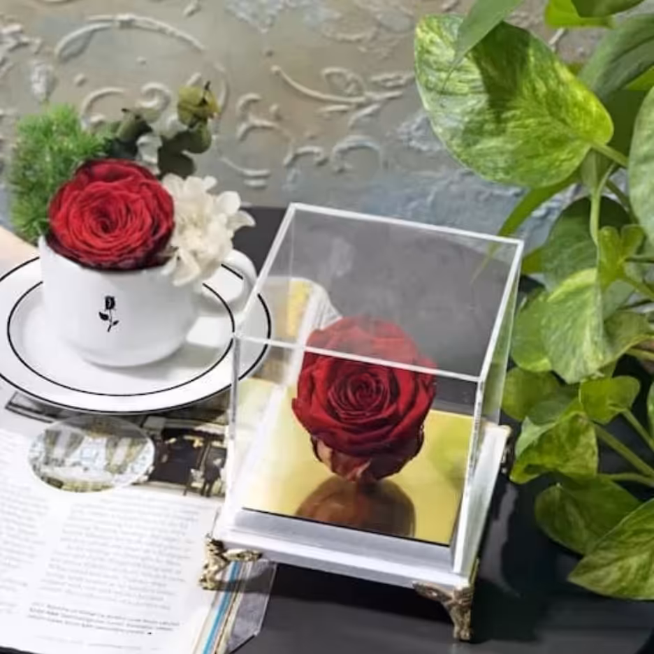 رز جاودان پایه فرشته ای ماندگاری 7 ساله 