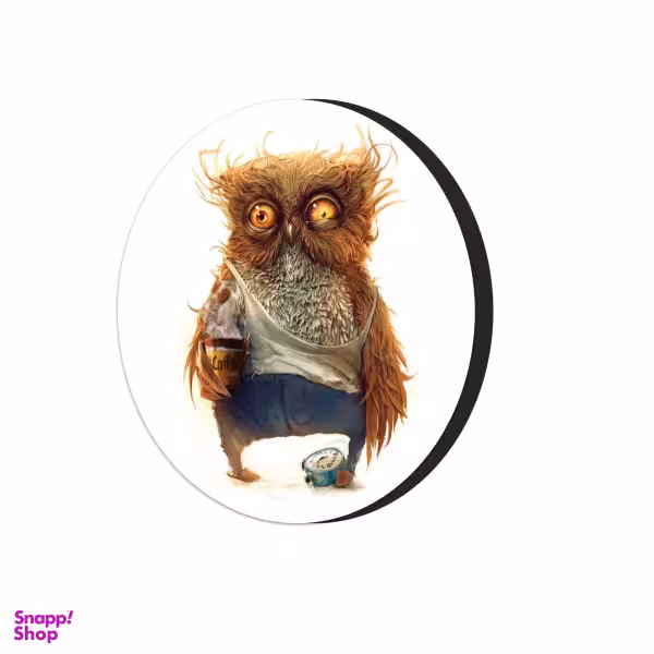 مگنت طرح جغد کد 2014308