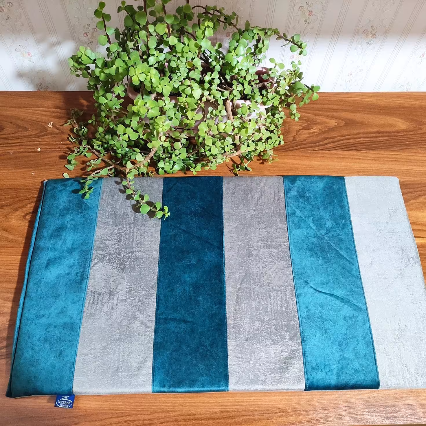 پاسینکی آشپزخانه طبی آبی