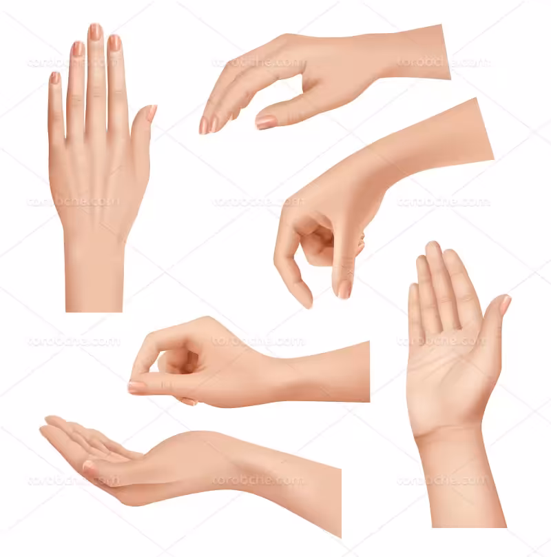 وکتور حالت های دست | گرافیک با طعم تربچه