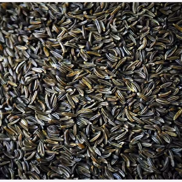 زیره سیاه کوهی