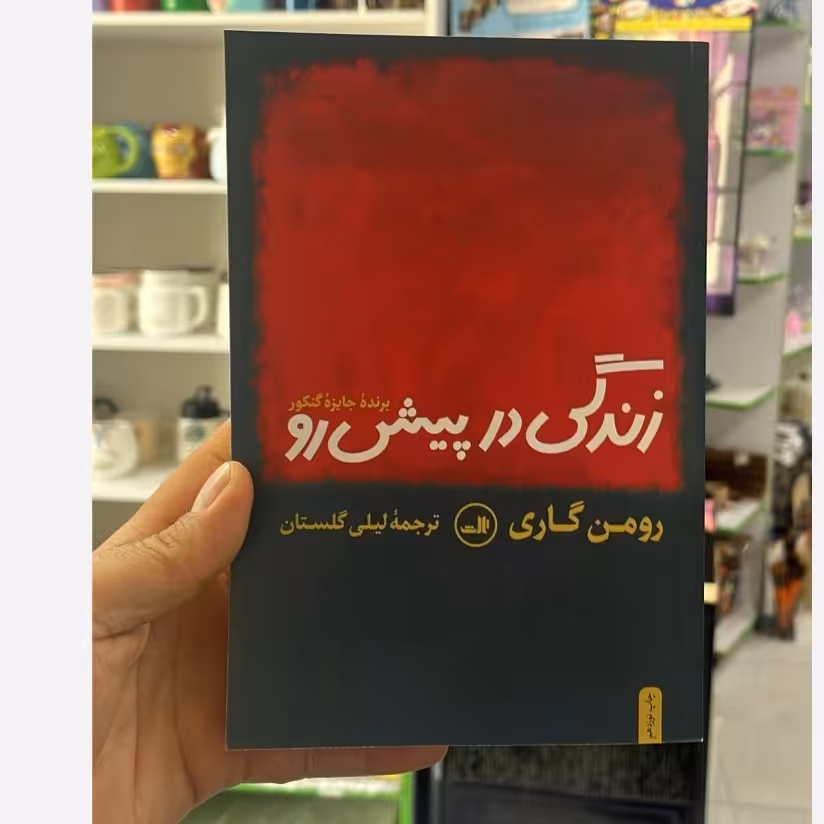 کتاب زندگی در پیش رو رومن گاری