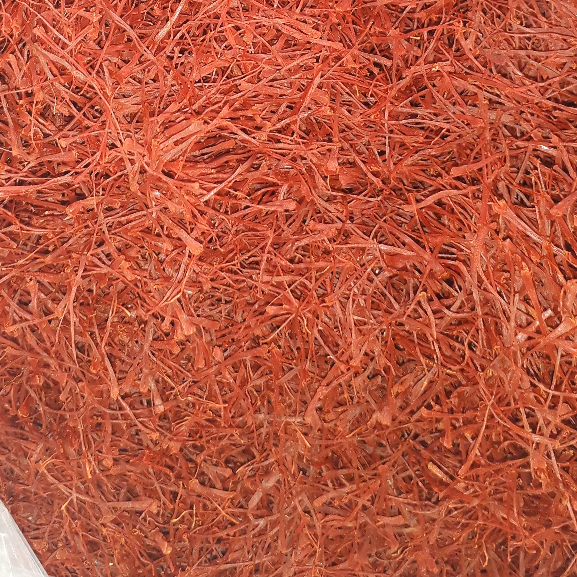 زعفران نگین  با ده عدد ظرف نیم مثقال