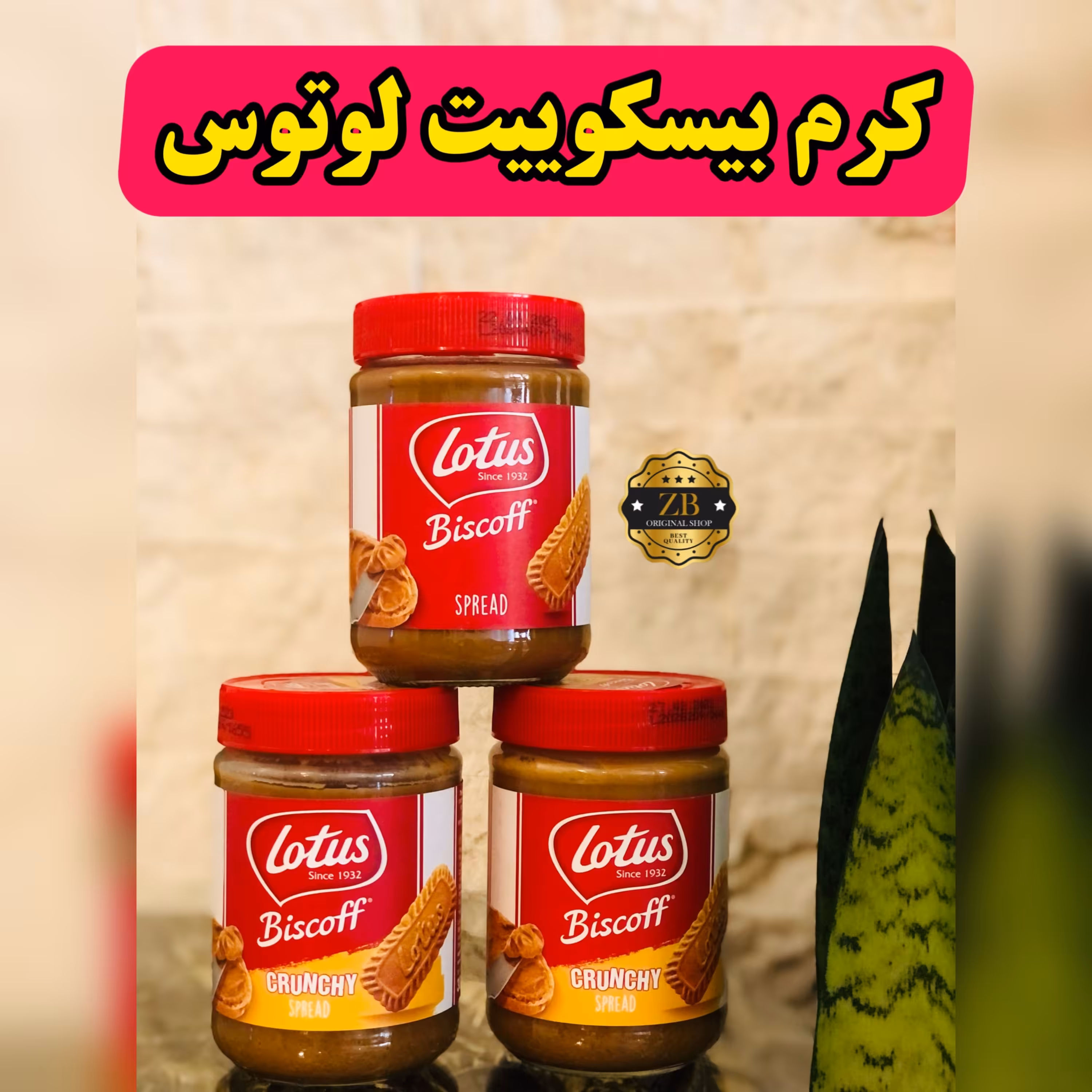 کرم بیسکوییت  لوتوس اصلی ارسال رایگان