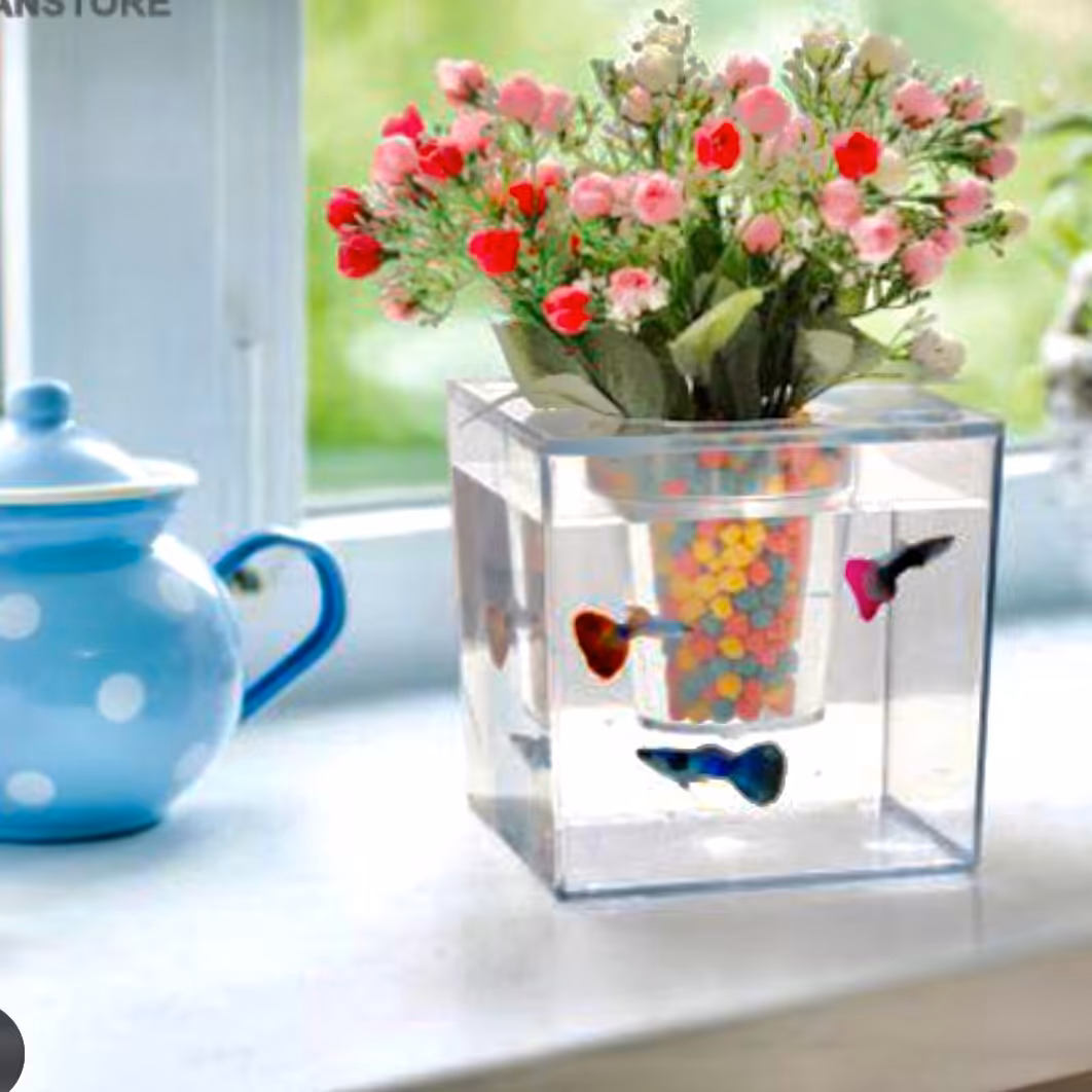 گلدان  شفاف مدل آکواریوم 