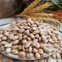 لوبیا چیتی  خوشپخت و امساله 10 کیلویی(ارسال رایگان)