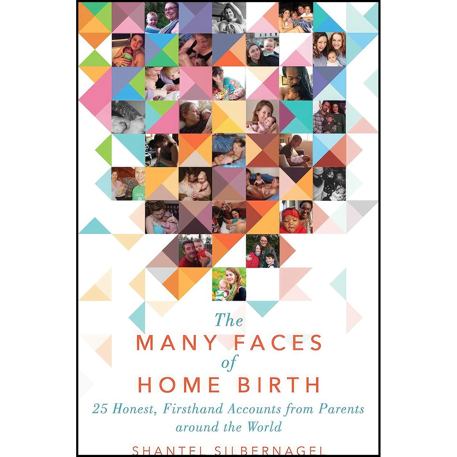 کتاب زبان اصلی The Many Faces of Home Birth اثر Shantel Silbernagel