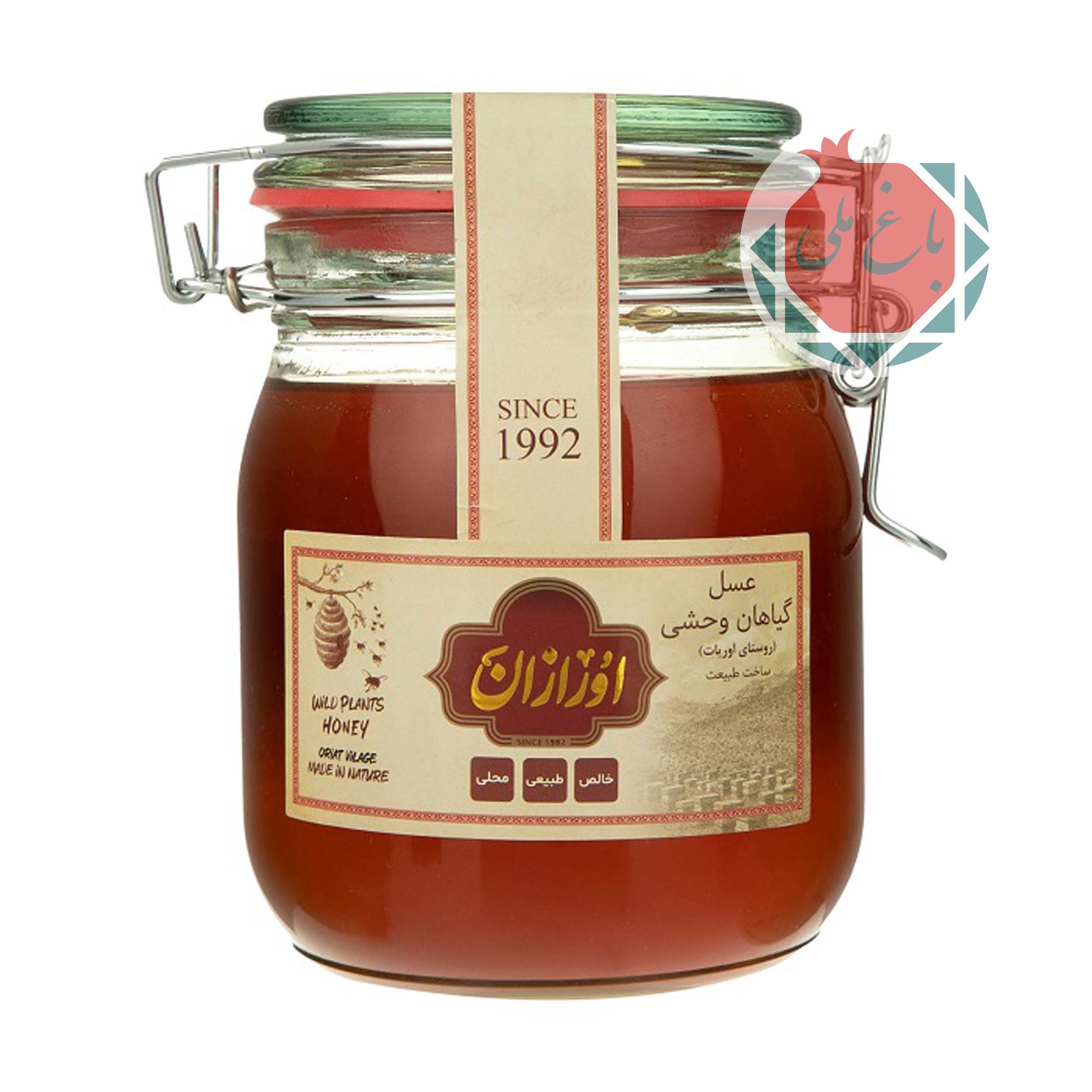 عسل کوهستان یک کیلویی