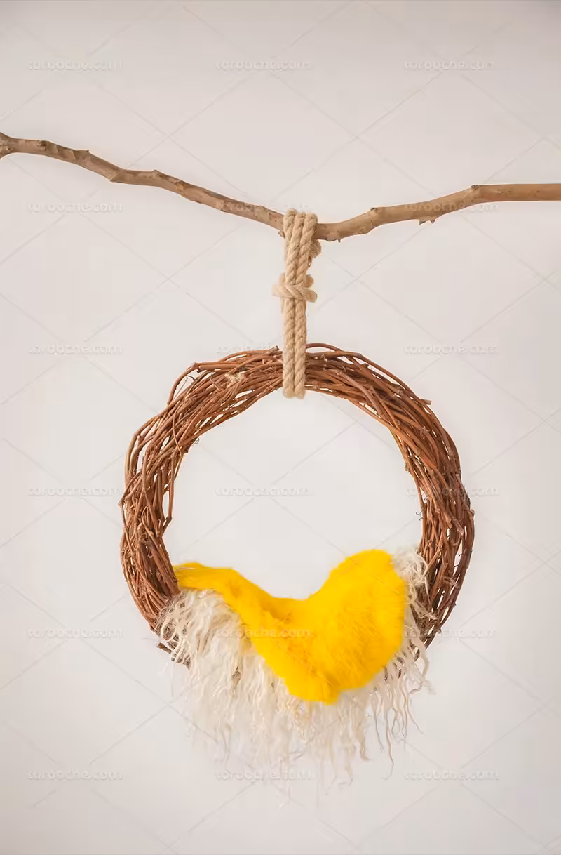 بک دراپ عکاسی لانه | گرافیک با طعم تربچه