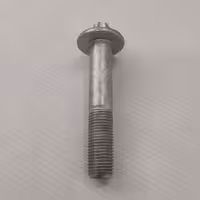 پیچ وسط طبق پژو 206 و 207 شرکتی (1عدد)