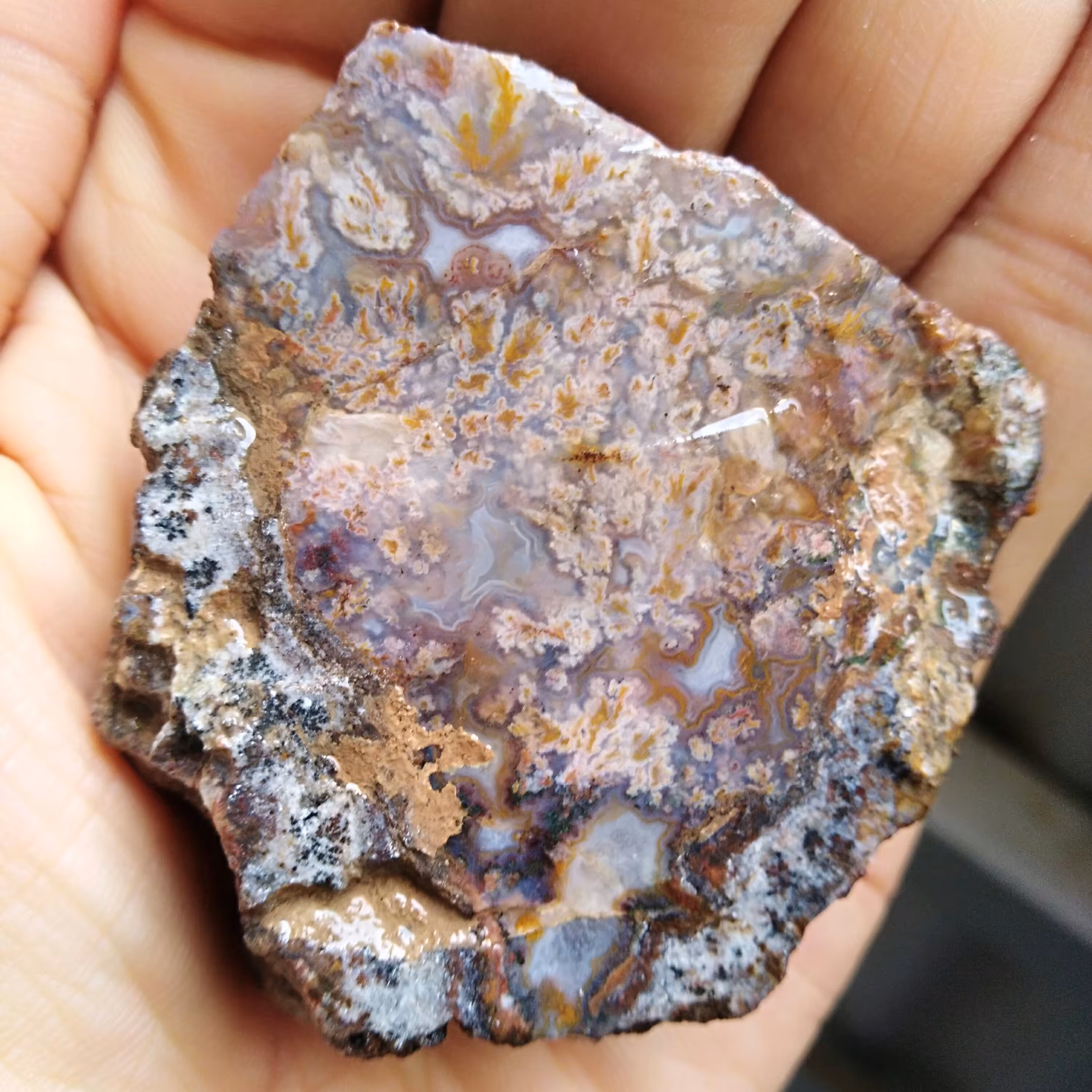 اسلایس راف شجر شکوفه 7رنگ محشررر کاملا طبیعی