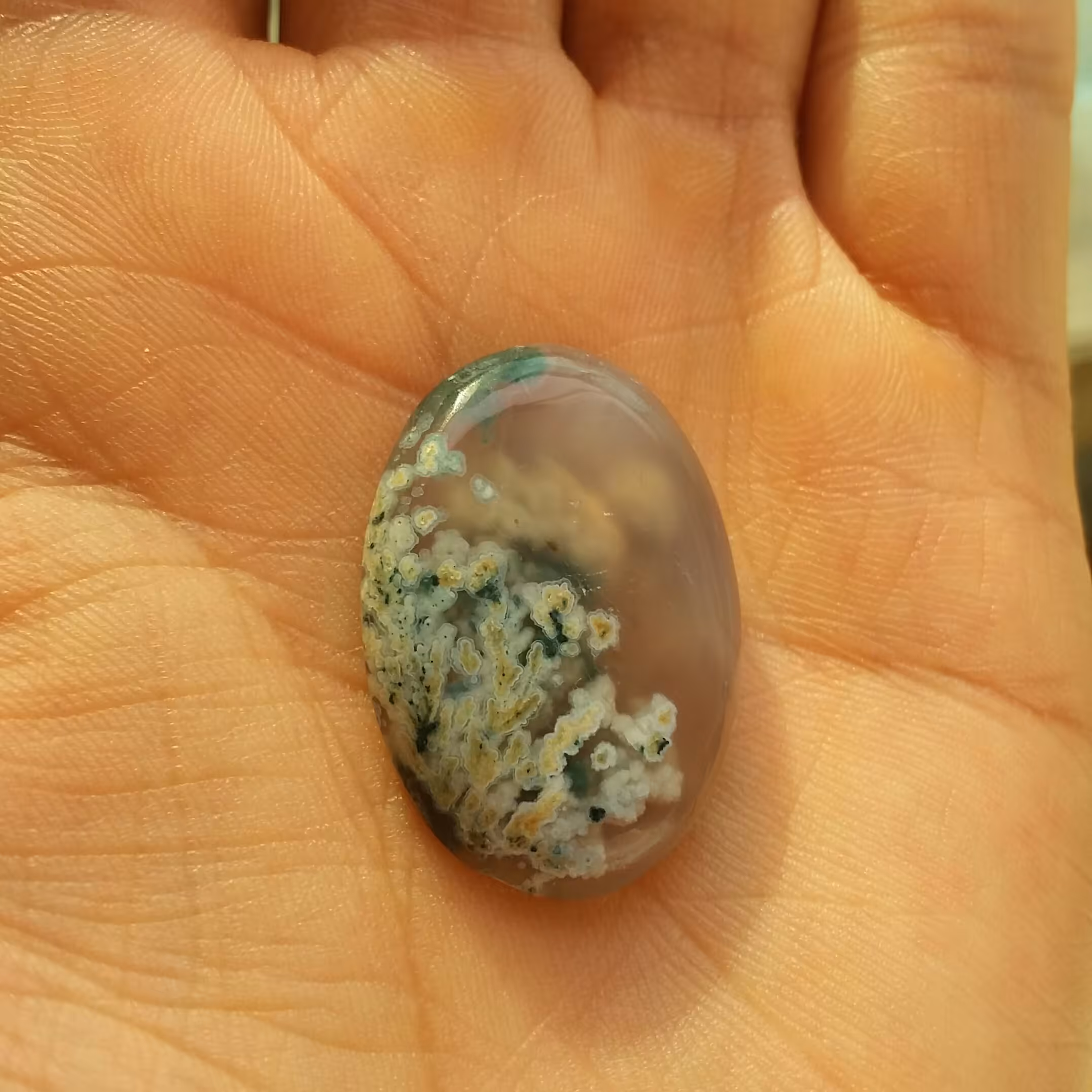 نگین شجر شکوفه هفت رنگ بسیار زیبا و خاص با زمینه سوسنی پولیش آیینه ای