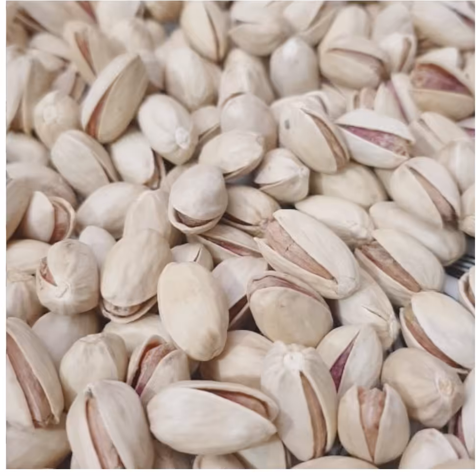 پسته احمد آقایی خام خرید مستقیم بدون واسطه(دو کیلویی)