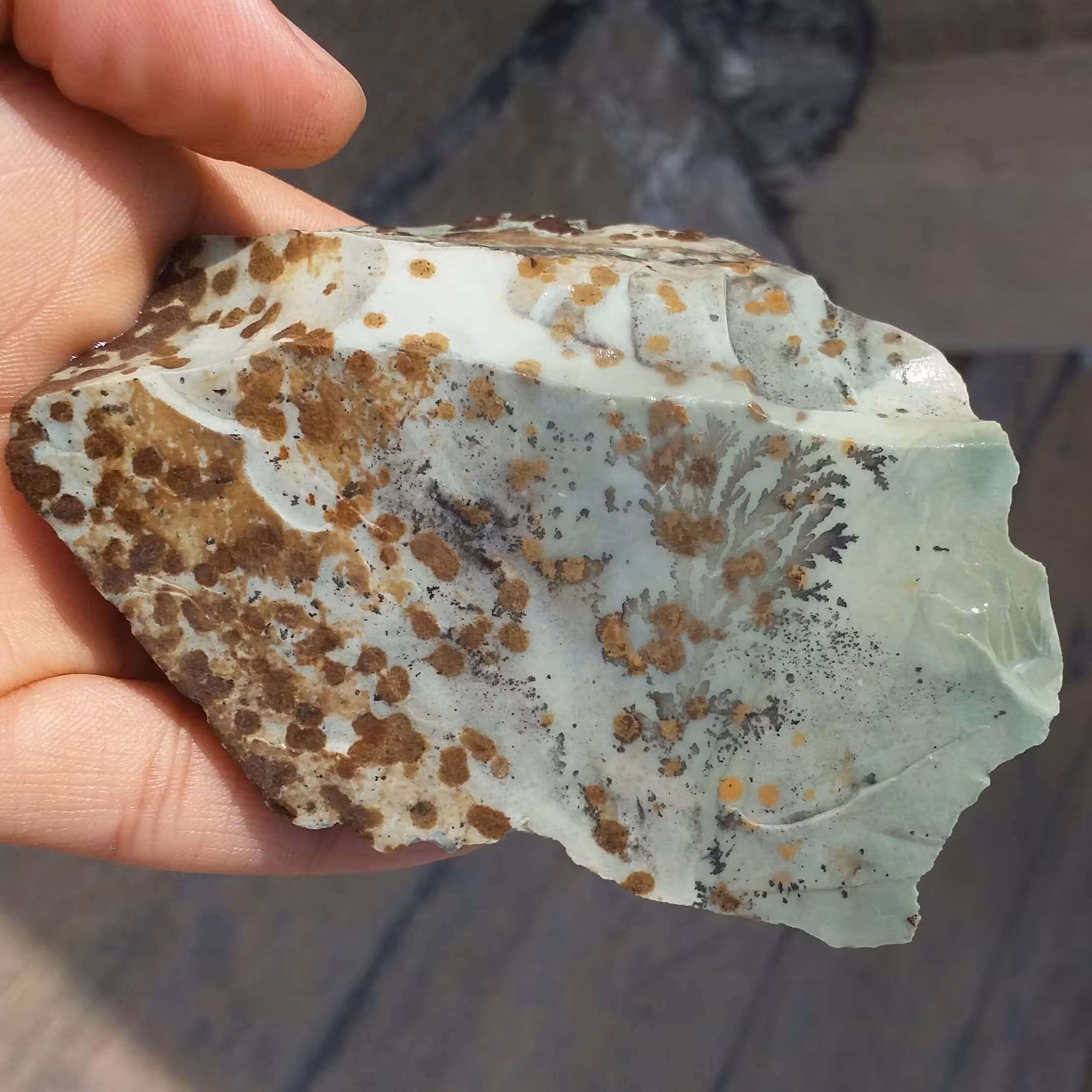 سنگ راف وارداتی جاسپر اقیانوسی شجردار خالخالی 100 در 100 طبیعی شاهکار خلقت بی نظیر
با قابلیت ساخت چندین نگین خاص کد9646