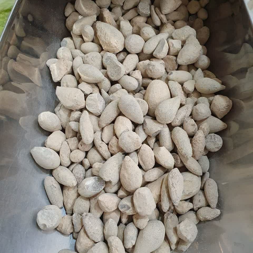 سنگ حجرالیهود 200 گرم دفع سنگ کلیه و مثانه