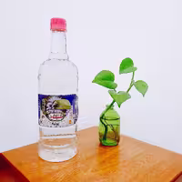 عرق پونه میعاد (یک لیتری)