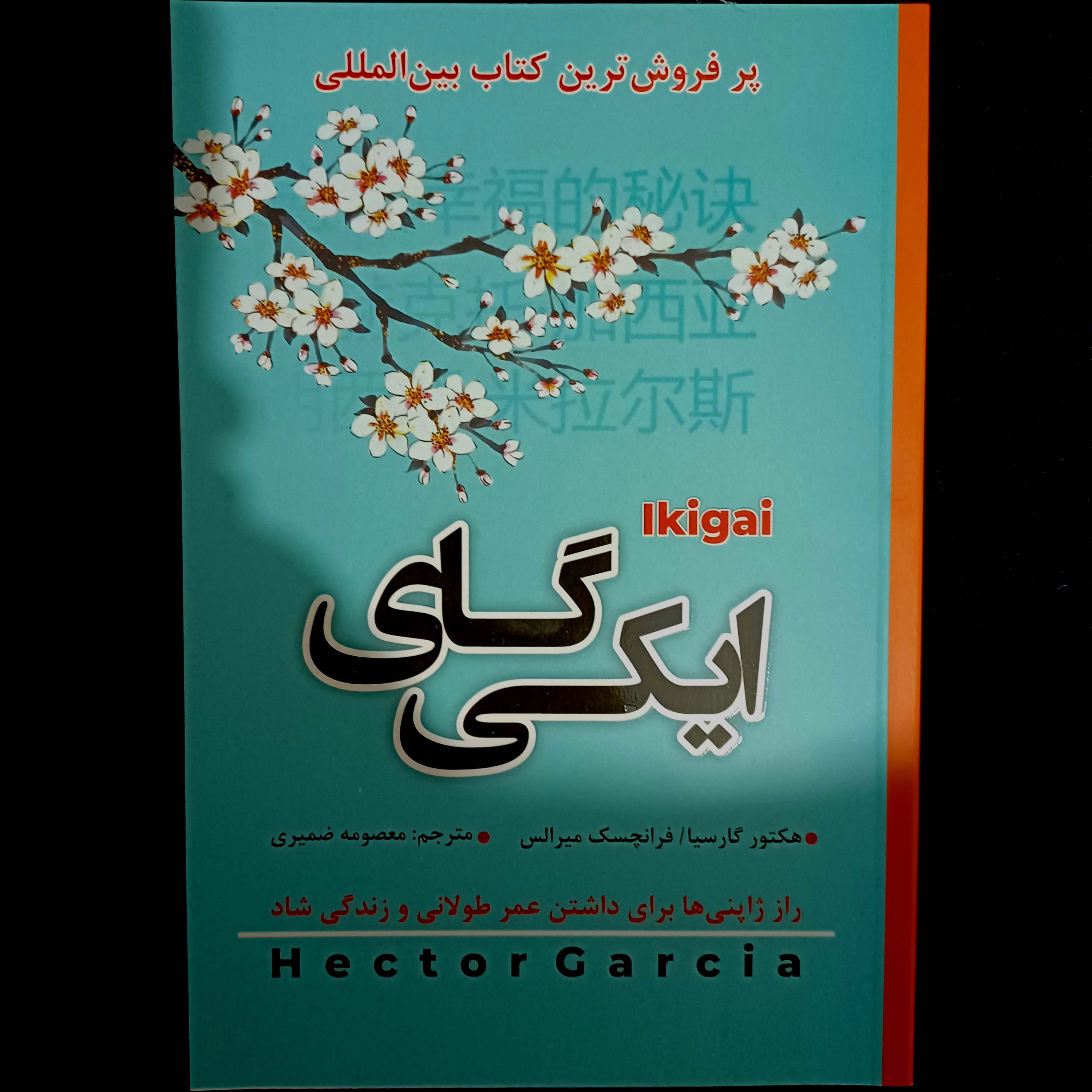 کتاب ایکی گای