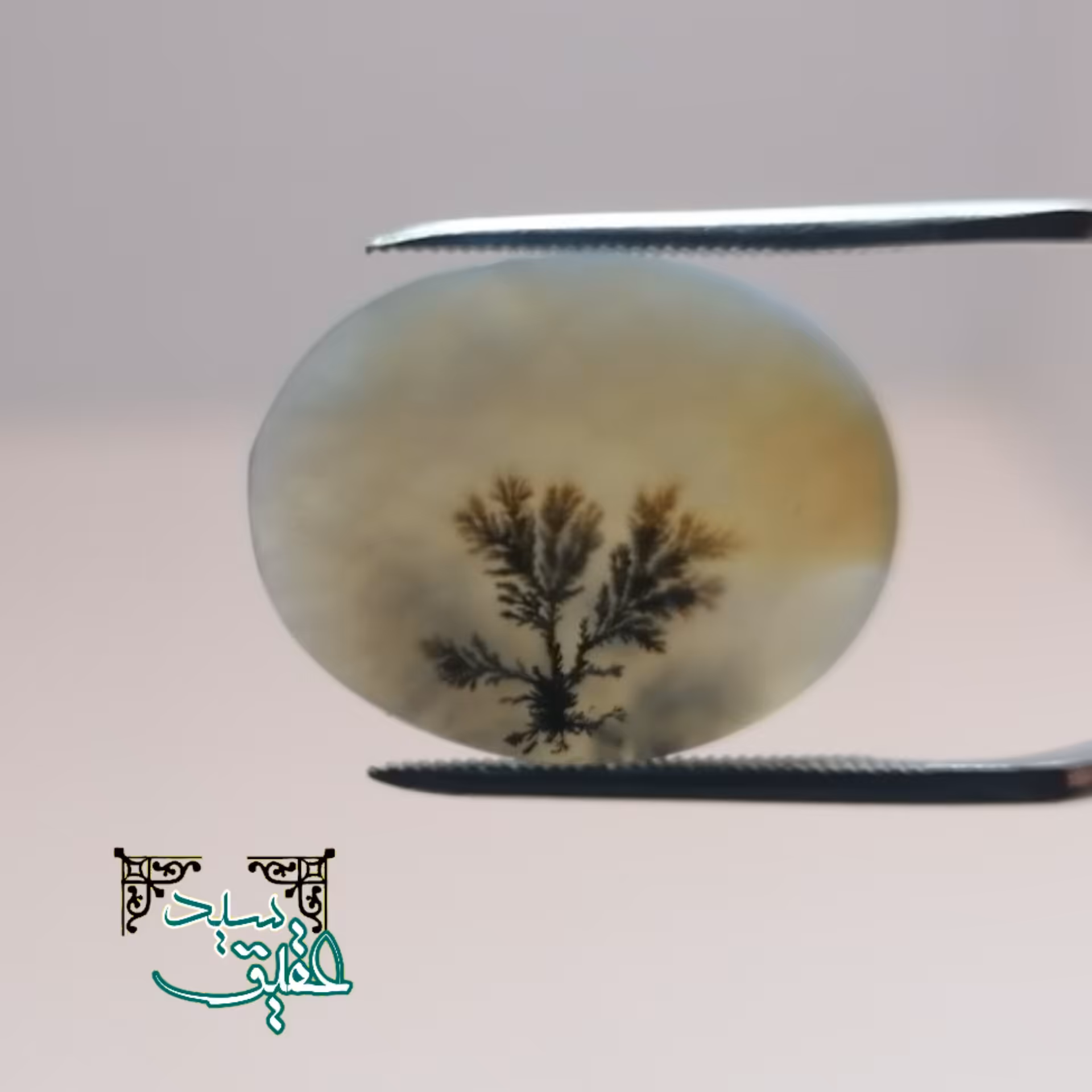 نگین عقیق شجر اصل قائنات و تک درخت کوچک