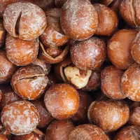 فندق شور 1 کیلویی