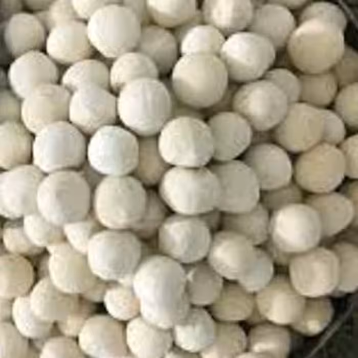 کشک نرم محلی بز 1کیلویی (عسل فروشی آتابال)