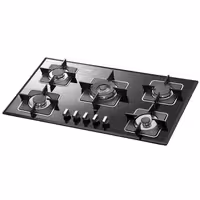 اجاق گاز صفحه ای استیل البرز مدل G-5910