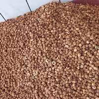 انجیر شکلاتی درجه1