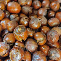 فندق لعابی ایرانی  اعلا  (250 گرمی)