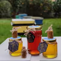 عسل 40 گیاه دُرّین