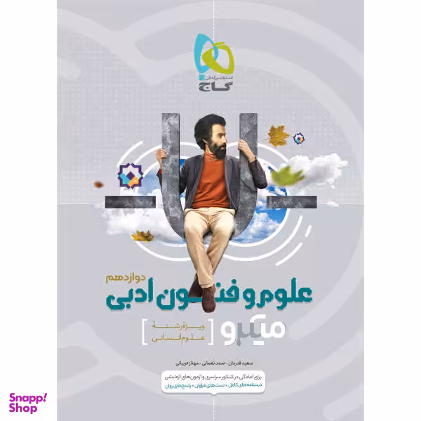 کتاب علوم و فنون ادبی دوازدهم انسانی سری میکرو طبقه بندی اثر جمعی از نویسندگان انتشارات بین المللی گاج